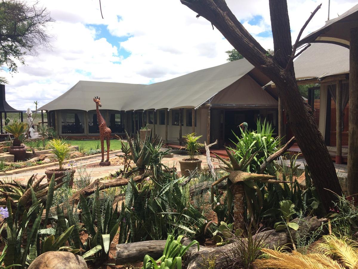 Tau Game Lodge Madikwe Game Reserve Exterior foto
